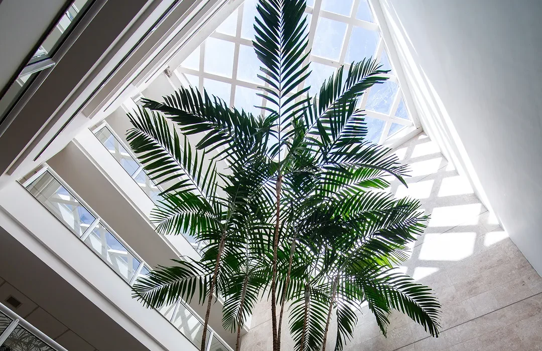 pratica-odontologia-primeiro-semestre